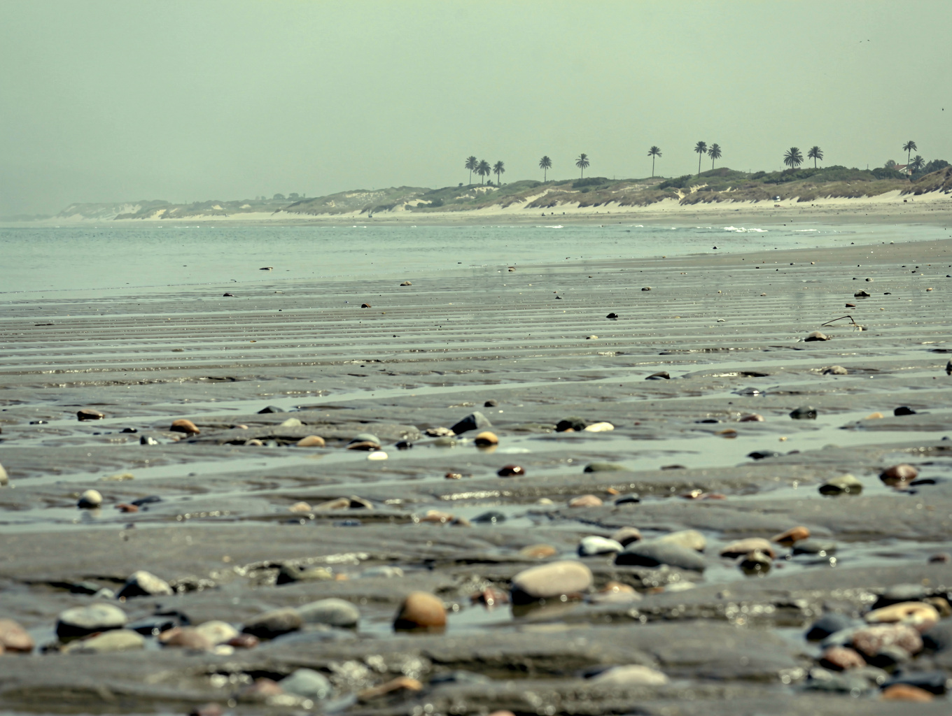Expansive view of Protection Island National Wildlife Refuge coastline